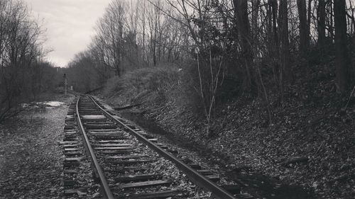 Railway tracks amidst bare trees against sky