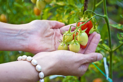 Close-up of hand holding fruit