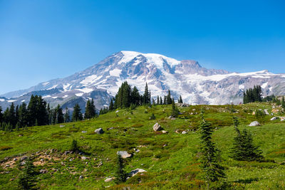 Scenic view of landscape against clear blue sky