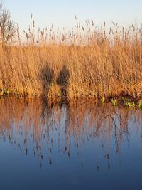 Scenic view of lake against sky