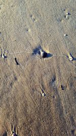 High angle view of footprints on sand at beach