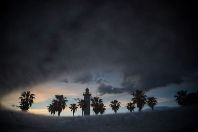 Silhouette palm trees on beach against sky at sunset