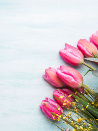 Close-up of pink flowering plant in sea