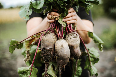 Close-up of woman holding plant