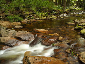 Stream flowing through rocks in forest