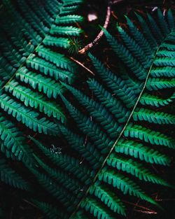 Detail shot of ropes