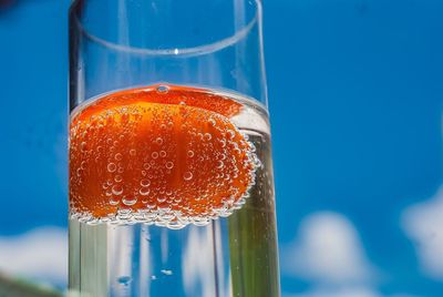 Close-up of beer in water