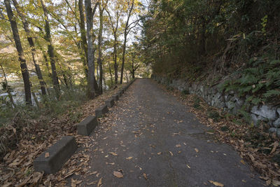 Road amidst trees in forest during autumn