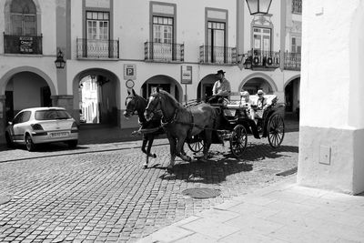 Rear view of man riding horse on street