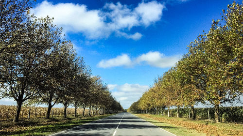 Road amidst trees against sky