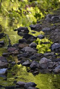 Stream flowing through rocks