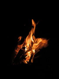 Close-up of fire in the dark