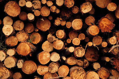 Full frame shot of logs