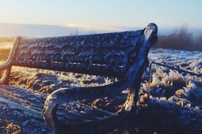 Close-up of snow covered land