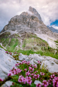 Scenic view of snowcapped mountain against sky