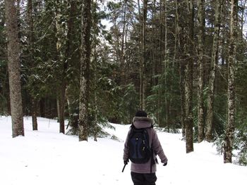 Rear view of woman in forest during winter