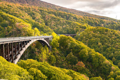 Arch bridge amidst trees in forest against sky