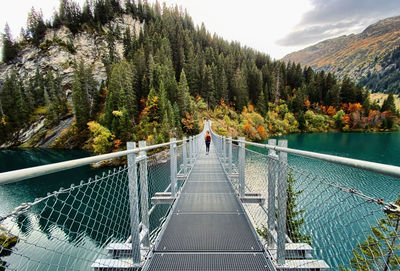 Rear view of people on footbridge in forest