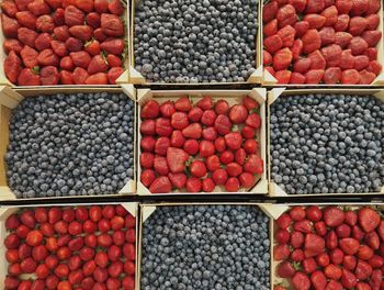 Directly above shot of fruits for sale at market