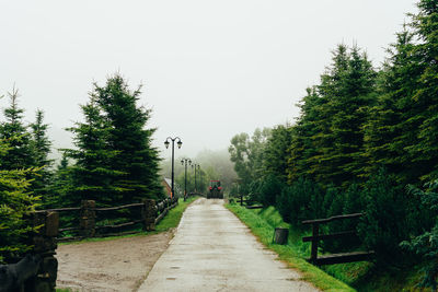 Empty road along trees in forest against clear sky