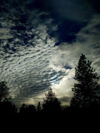 Silhouette trees against storm clouds