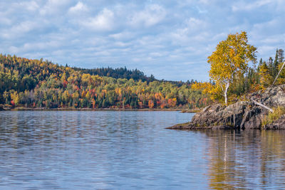 Scenic view of lake by trees against sky