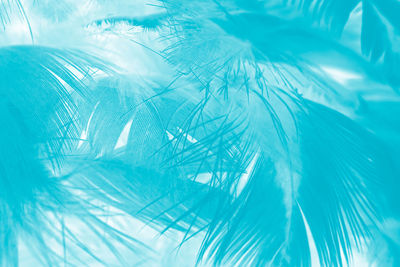 Full frame shot of swimming pool