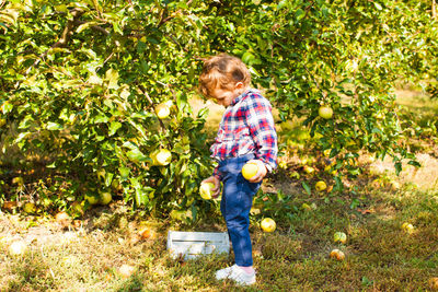 Side view of boy holding food outdoors