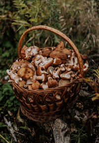 Close-up of mushrooms in basket