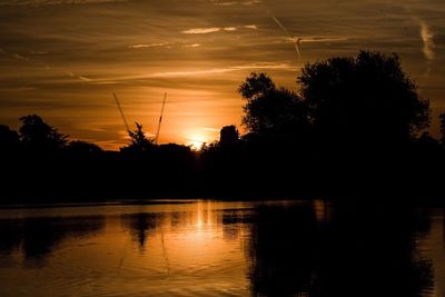 Silhouette of trees at sunset