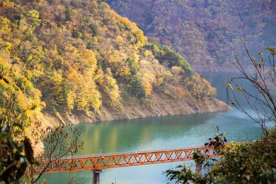 Scenic view of forest against sky