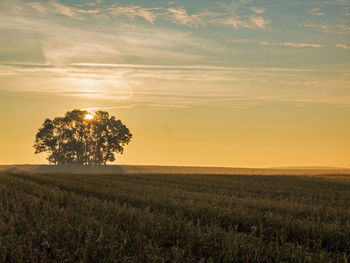 Scenic view of field against sky during sunset