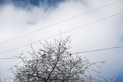 Low angle view of power cables against cloudy sky