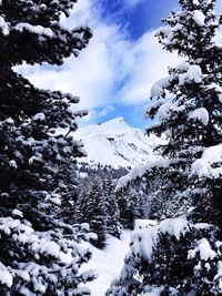 Scenic view of snow covered mountains