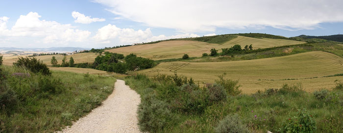 Road amidst agricultural field against sky