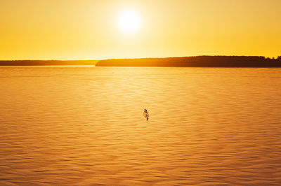 Scenic view of sea against orange sky