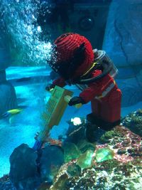 Fish swimming in aquarium