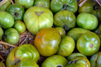 Close-up of unripe tomatoes