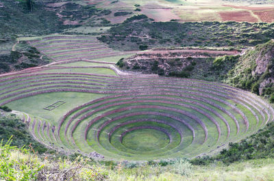 High angle view of agricultural field