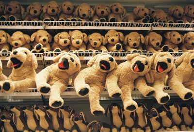 Close-up of stuffed toy toys for sale