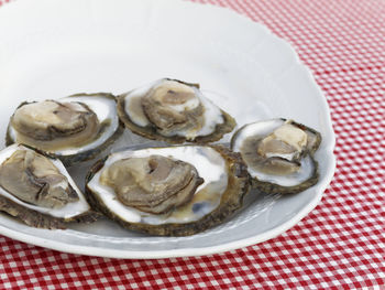 Close-up of served food