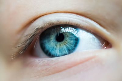 Close-up of human eye