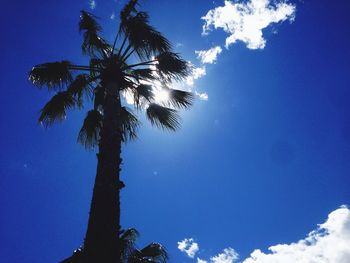 Low angle view of trees against blue sky