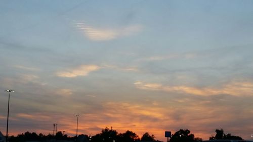 Low angle view of trees against sky at sunset