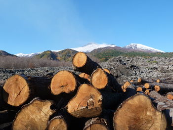 Stack of logs on landscape against sky