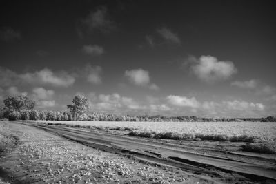 Scenic view of field against cloudy sky