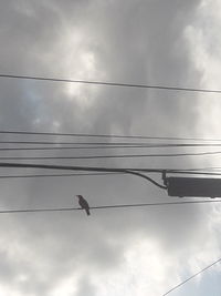 Low angle view of bird perching on cable against sky