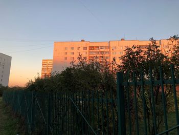 Plants growing by building against clear sky during sunset