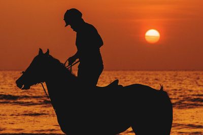 Silhouette man riding horse in sea during sunset