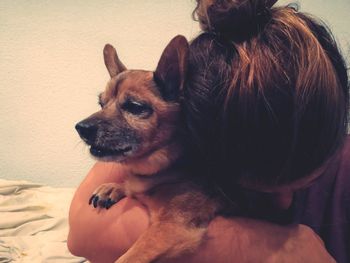 Close-up of woman embracing dog at home